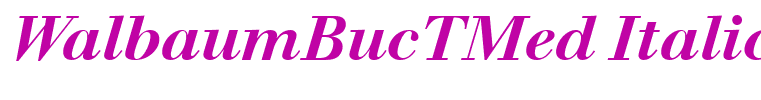 WalbaumBucTMed Italic